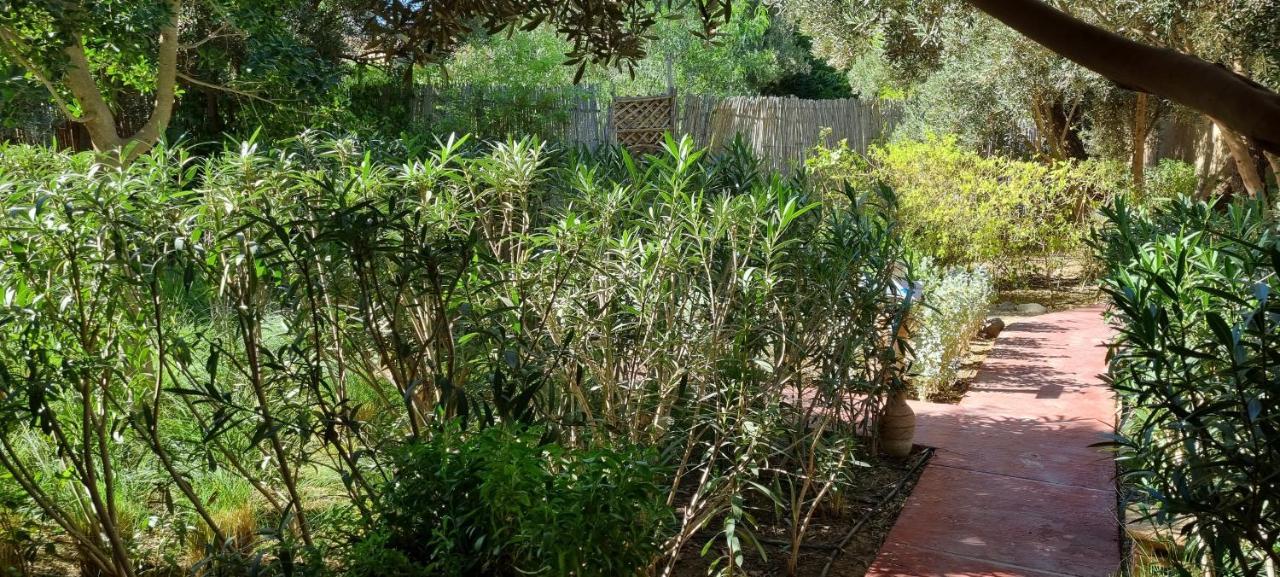 Les Trois Paons Bed & Breakfast Taroudant Eksteriør bilde