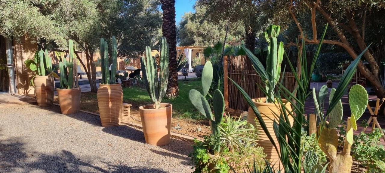 Les Trois Paons Bed & Breakfast Taroudant Eksteriør bilde