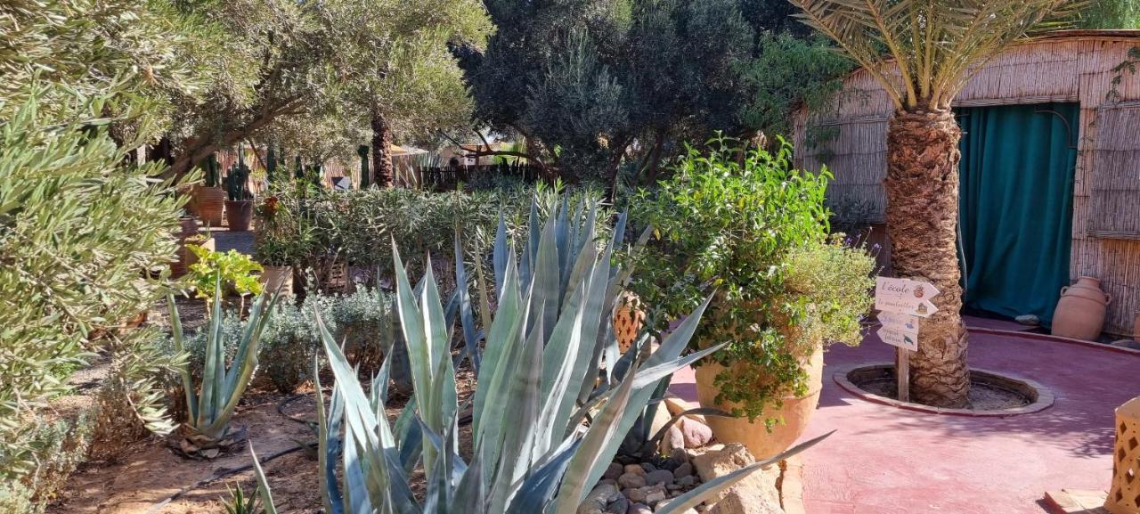 Les Trois Paons Bed & Breakfast Taroudant Eksteriør bilde
