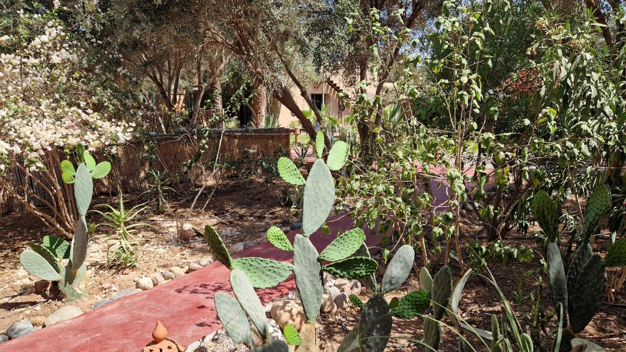 Les Trois Paons Bed & Breakfast Taroudant Eksteriør bilde