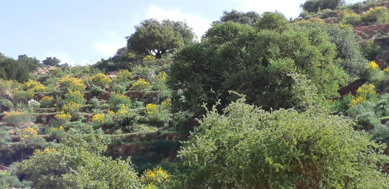 Les Trois Paons Bed & Breakfast Taroudant Eksteriør bilde
